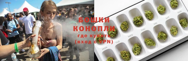 прущие грибы Абаза
