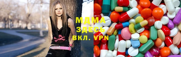 прущие грибы Абаза