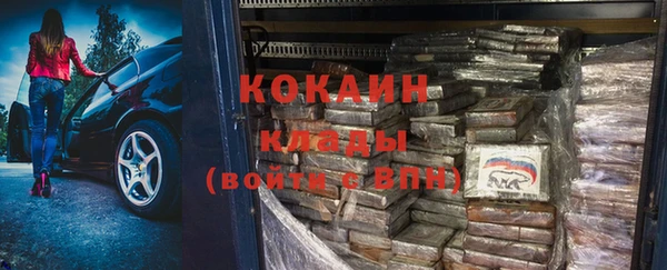 прущие грибы Абаза