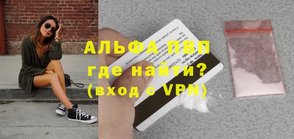 прущие грибы Абаза